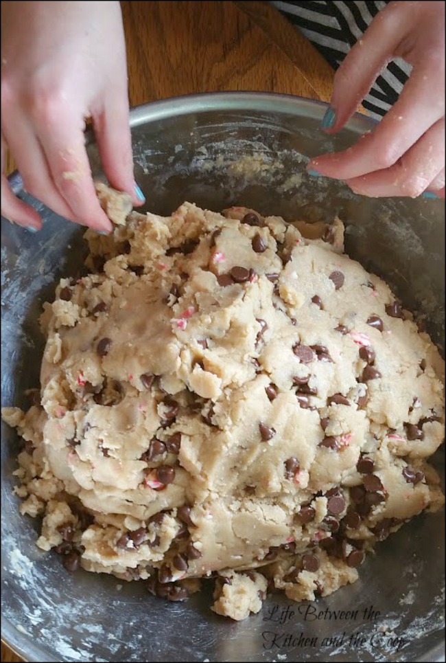 Peppermint Chocolate Chip Cookie, Christmas cookies, candy cane