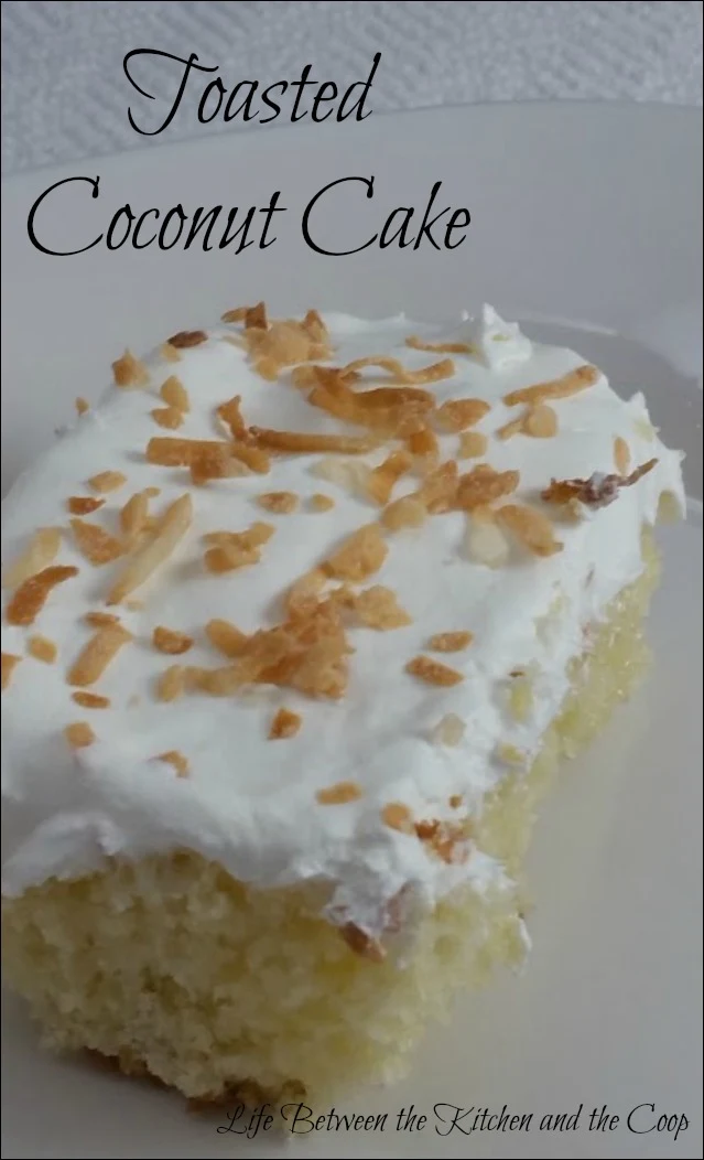 toasted coconut cake