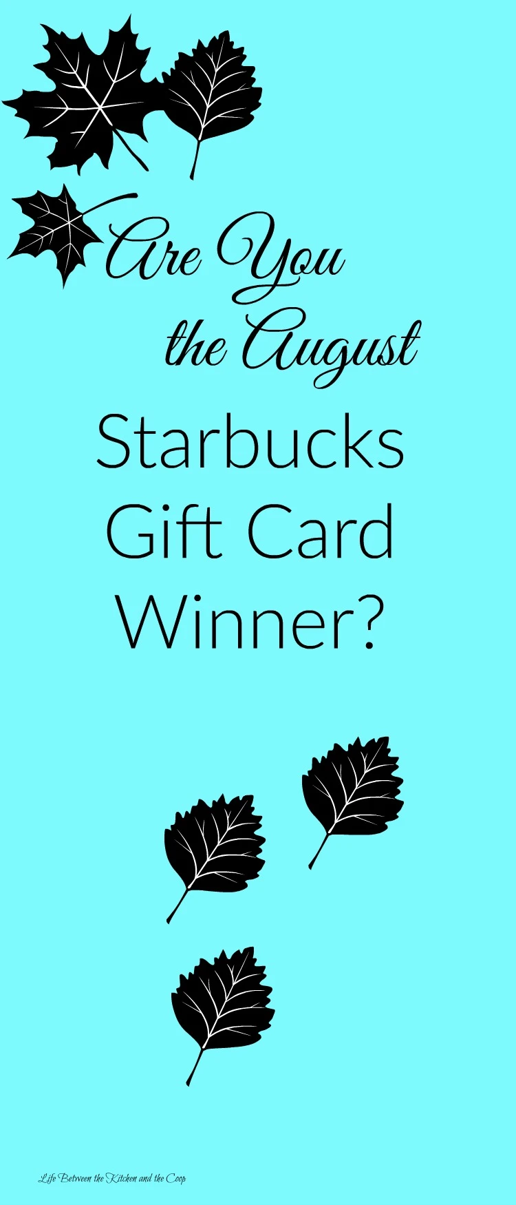 starbucks giveaway