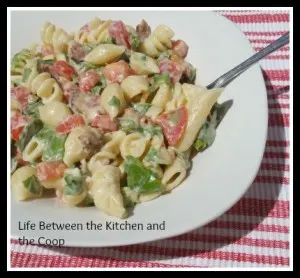 pasta salad, bacon