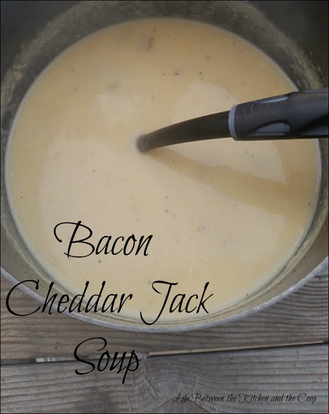 bacon cheddar jack soup