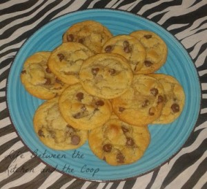 chewy chocolate chip cookies