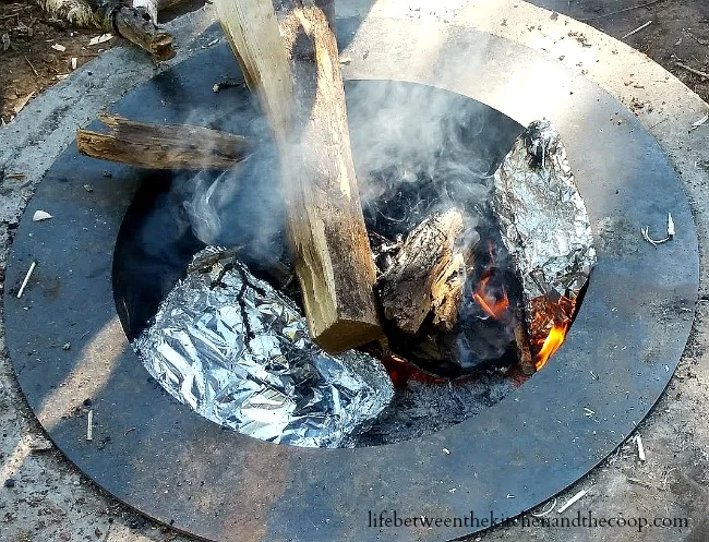 Campfire Cooking