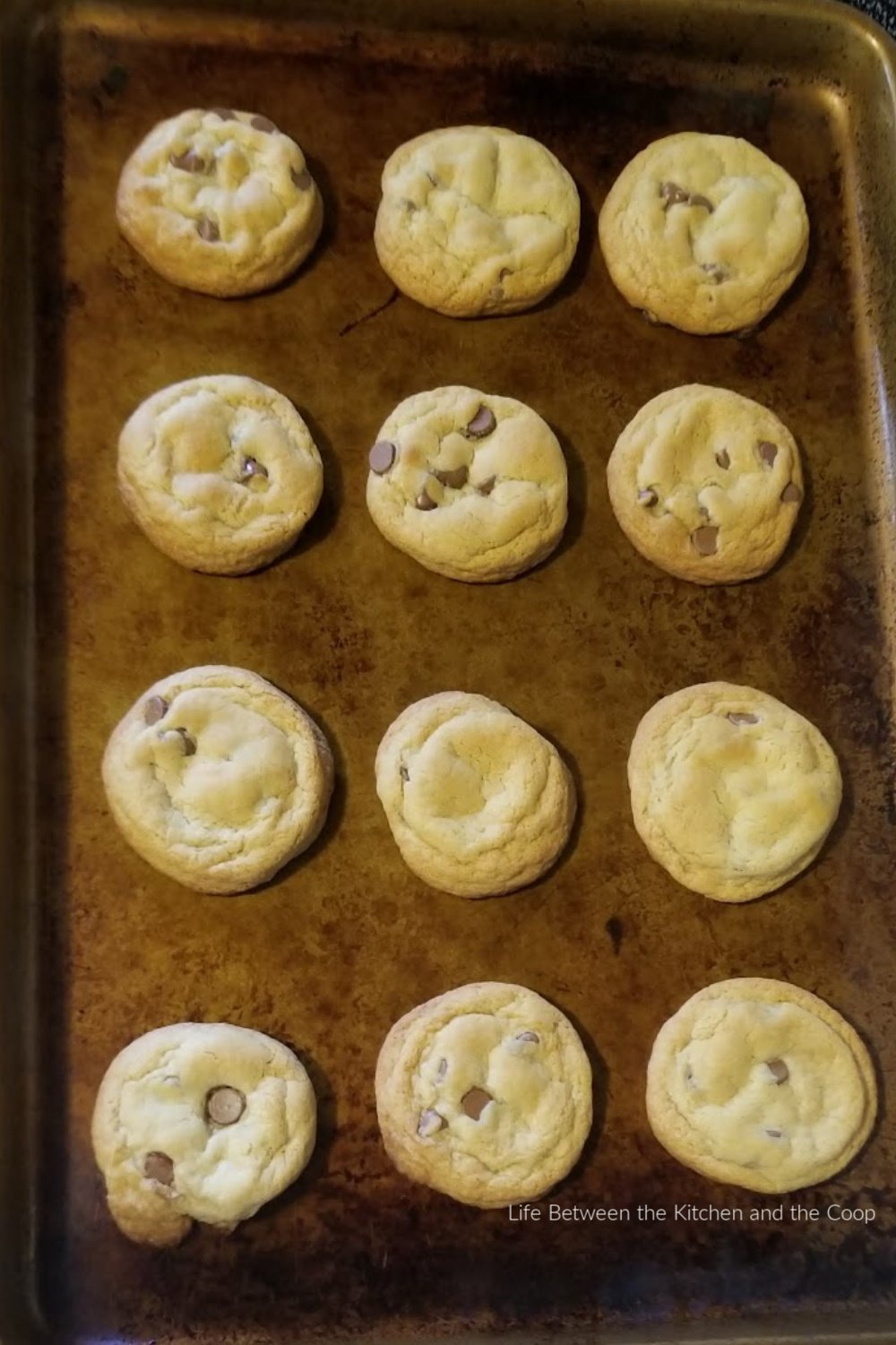 fresh baked chocolate chip cookies