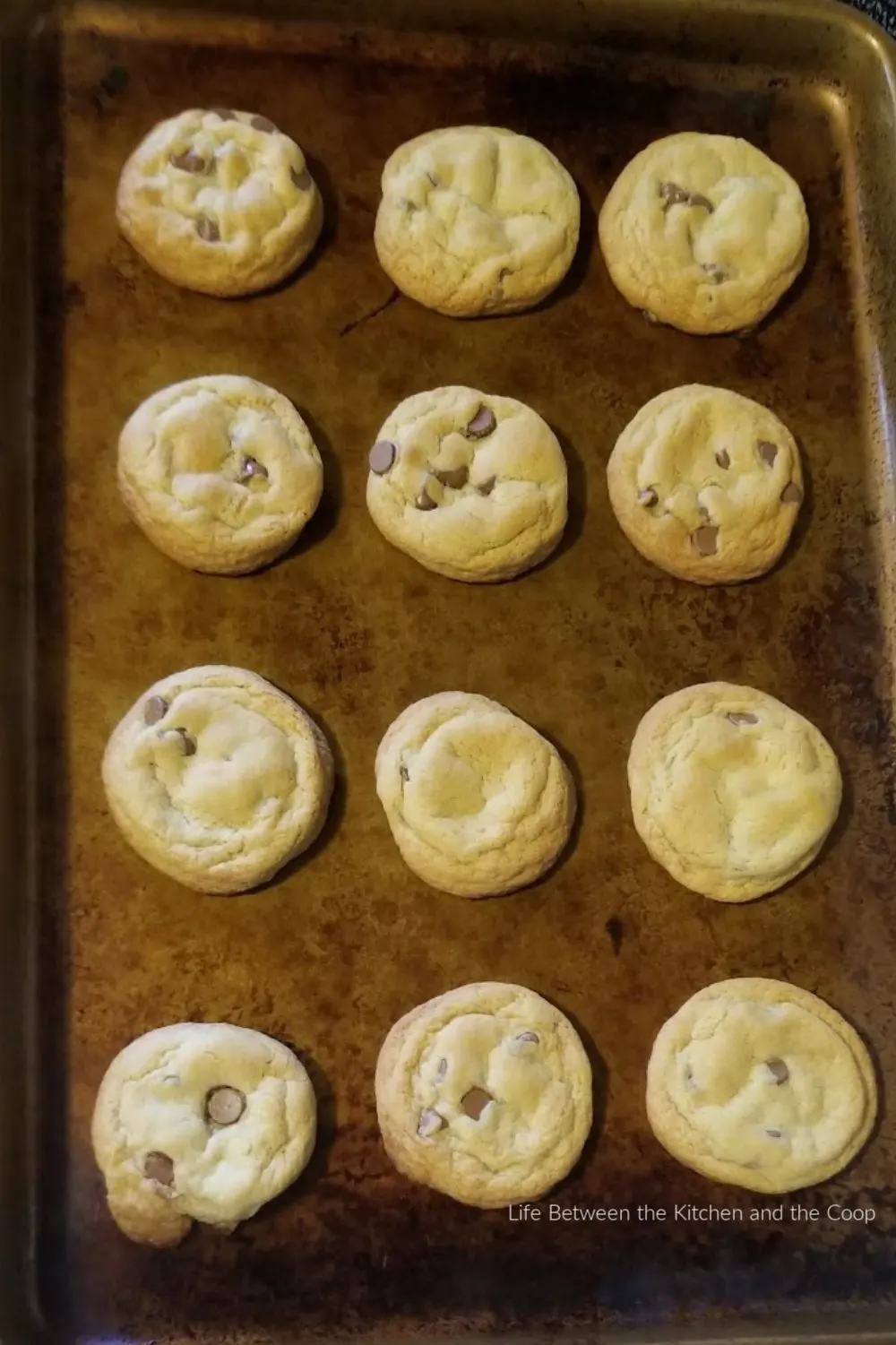 fresh baked chocolate chip cookies