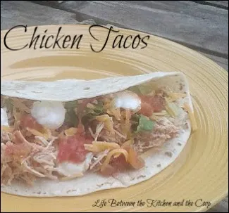 soft tacos, mexican food, salsa chicken