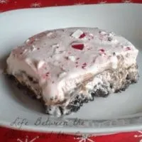 Christmas peppermint ice cream dessert