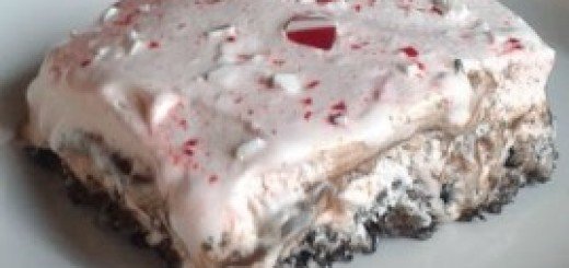Christmas peppermint ice cream dessert