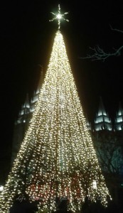 Christmas Tree and Salt Lake Temple WM