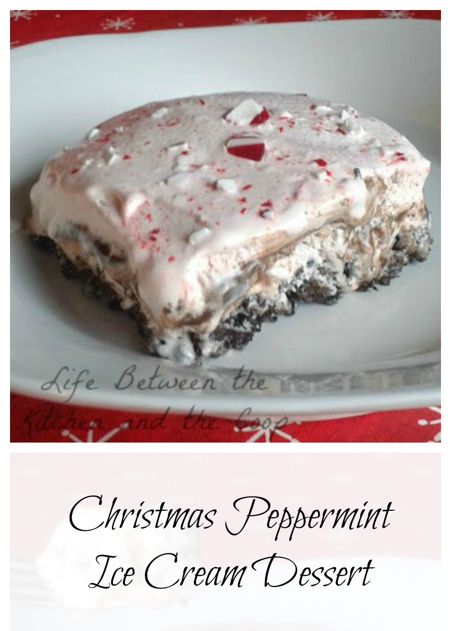 Christmas peppermint ice cream dessert