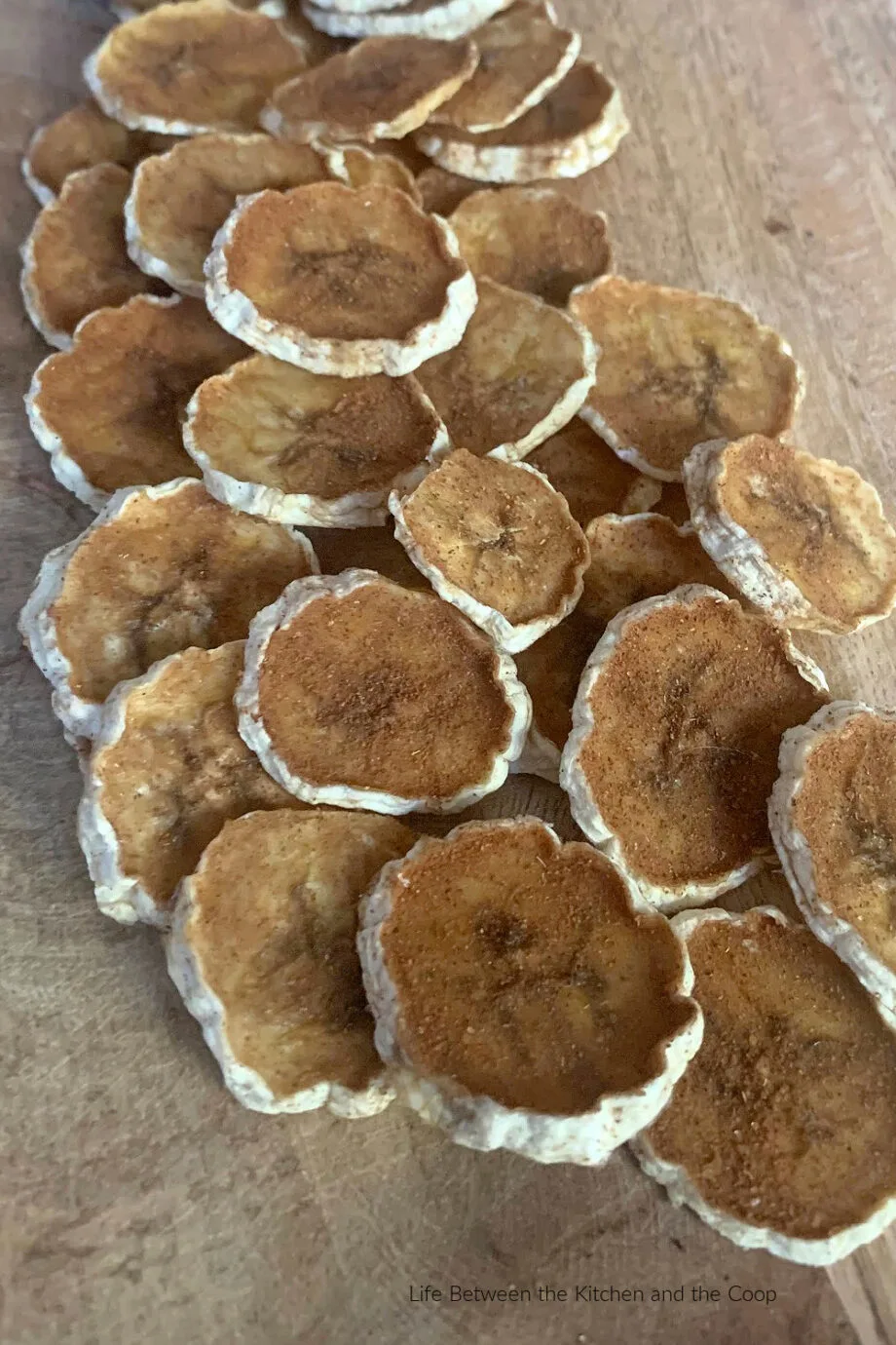 dehydrating banana chips with cinnamon and sugar in a food dehydrator