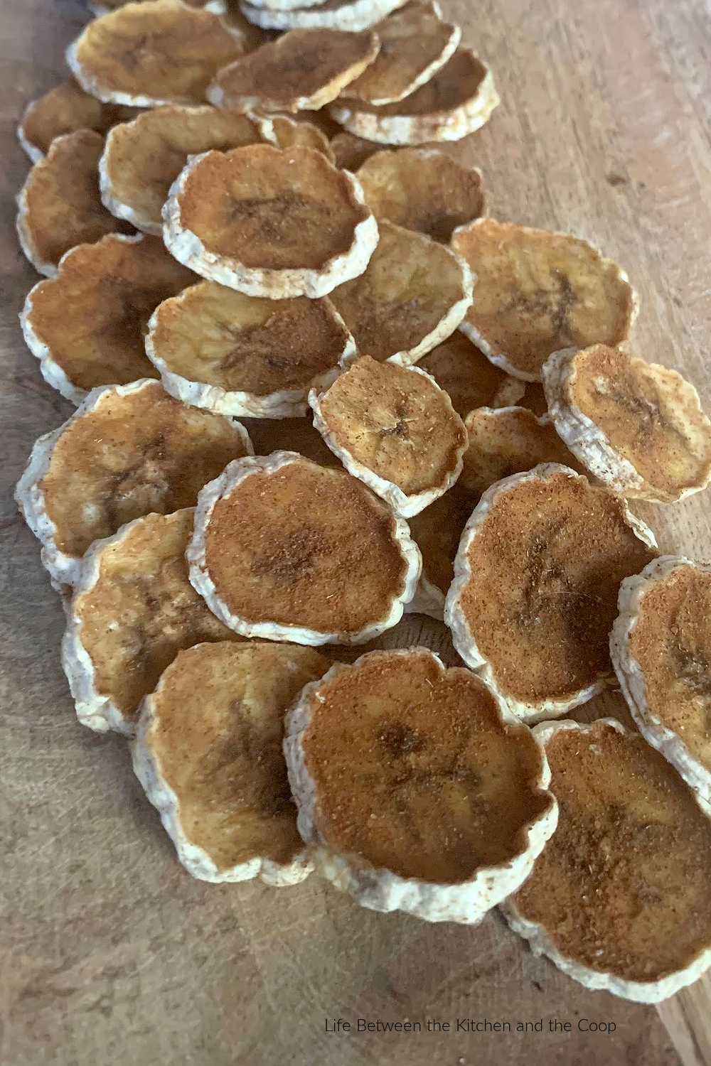 how to dehydrate banana chips with cinnamon and sugar
