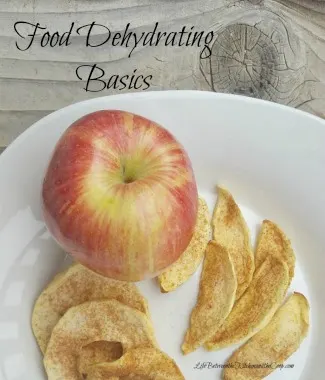 food dehydrating tips