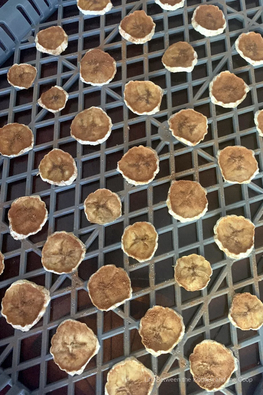 how to dehydrate banana chips with cinnamon and sugar