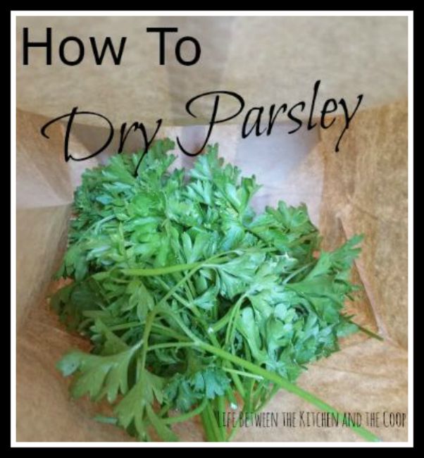 How to dry parsley
