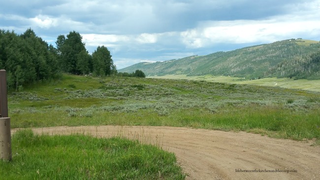 Gooseberry Reservoir Campground