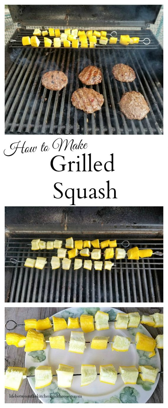 grilled squash