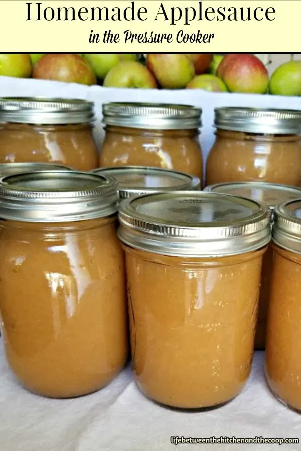 homemade applesauce