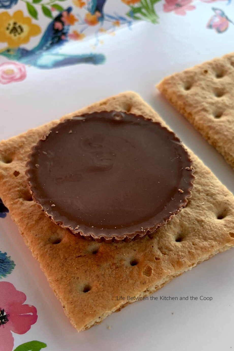 peanut butter cup s'mores recipe