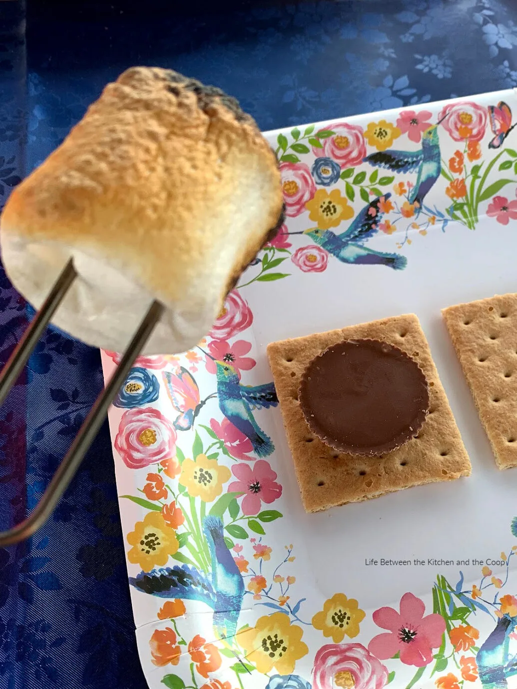 peanut butter cup s'mores recipe