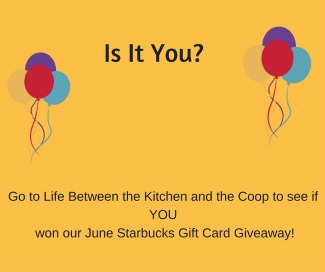 starbucks giveaway