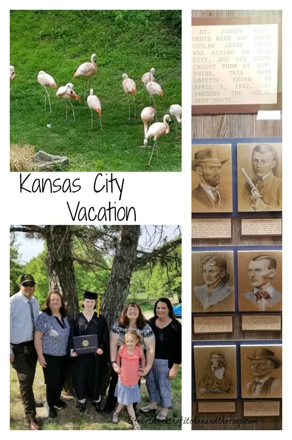 Kansas City Vacation