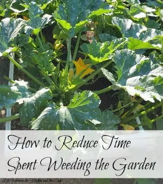 reduce time weeding garden