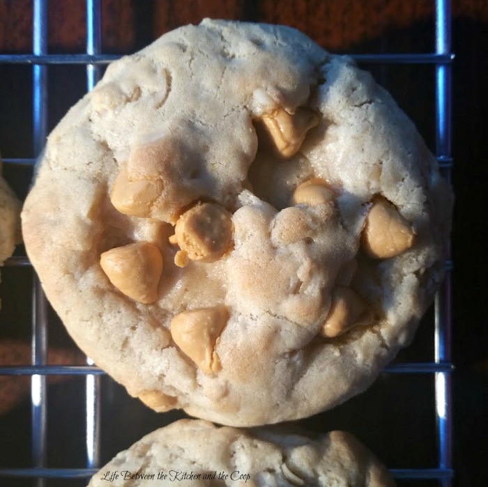 Butterscotch Oatmeal cookie