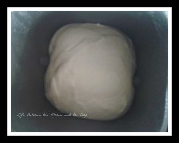 pizza dough bread maker