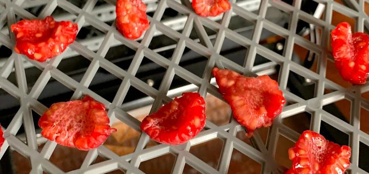 food preservation