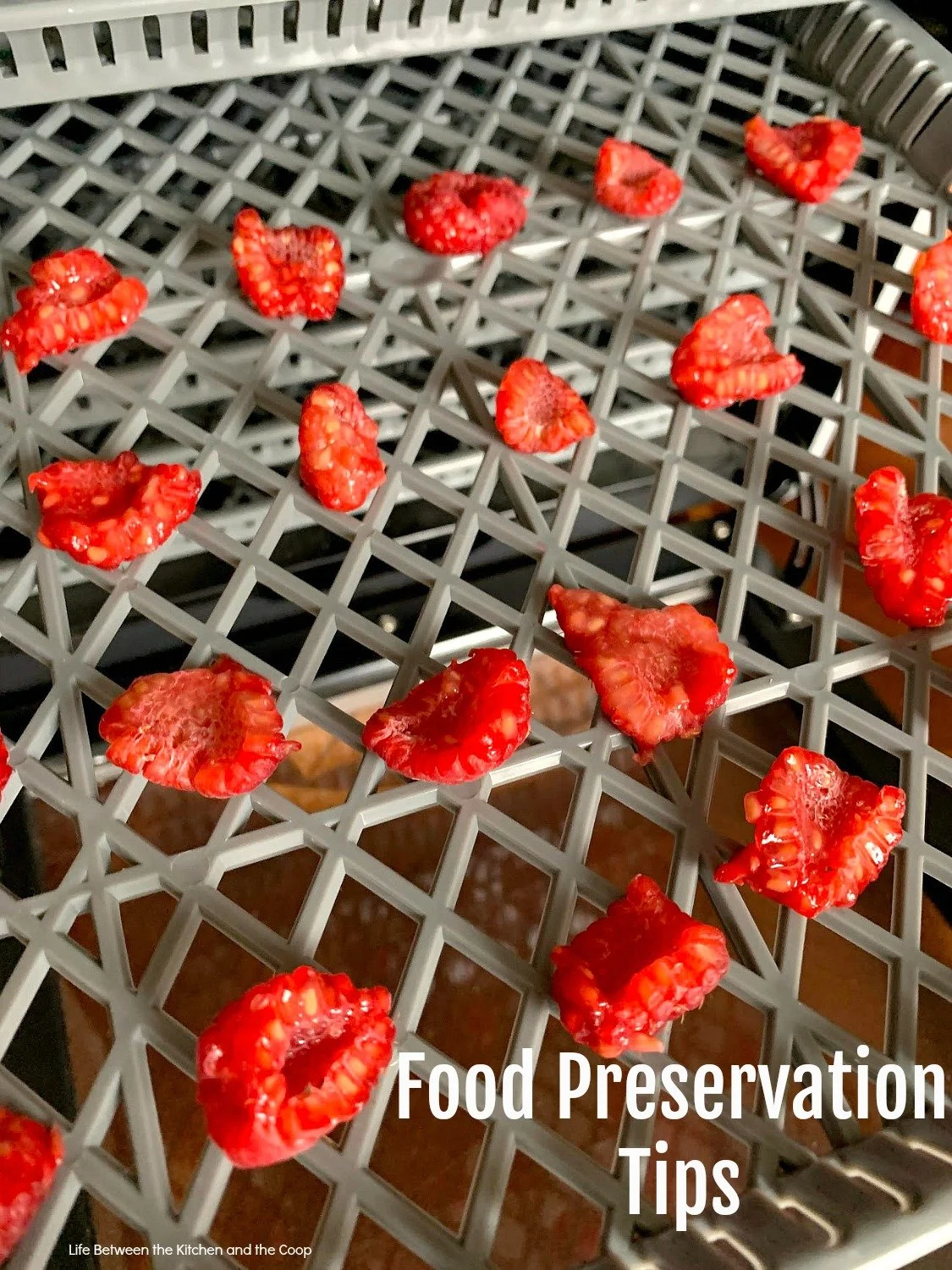 food preservation