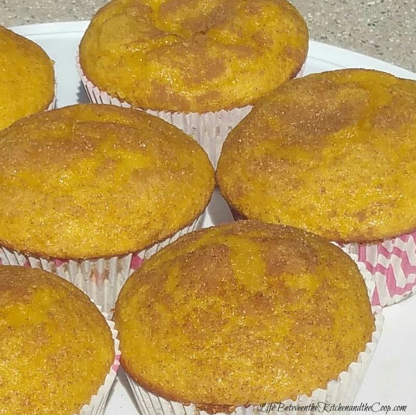 pumpkin spice cupcakes