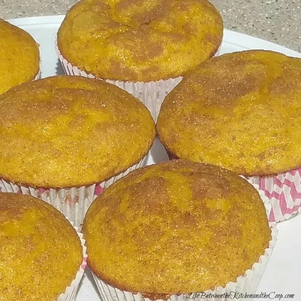 spiced pumpkin cupcakes