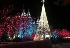 Salt Lake Temple at Christmas wm