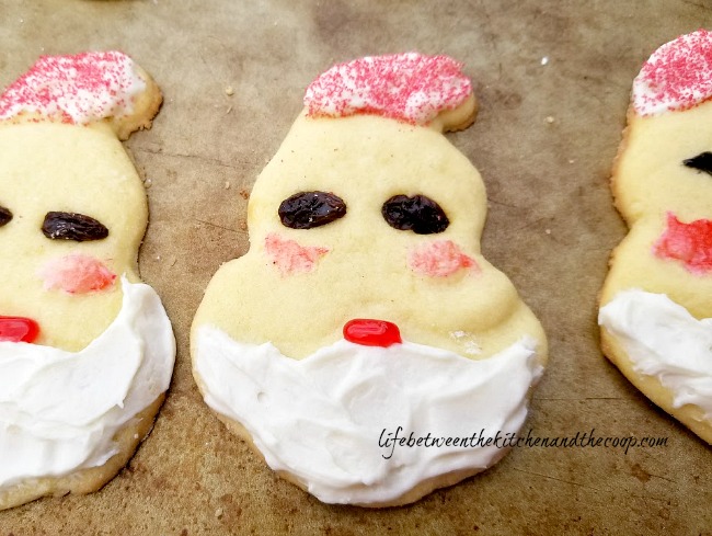 Santa Christmas cookies