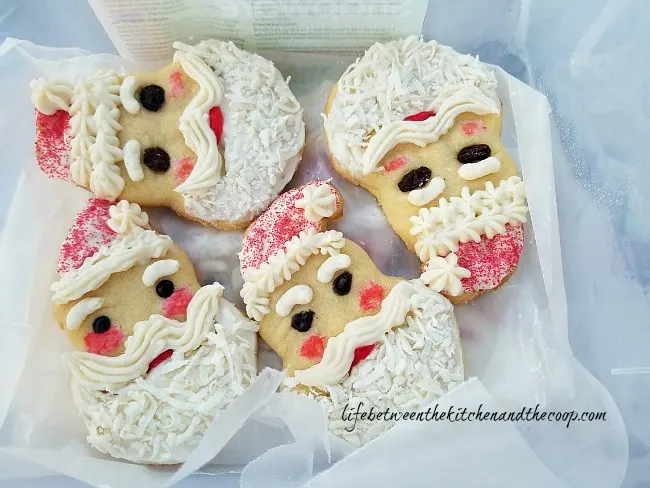 Santa Christmas cookies