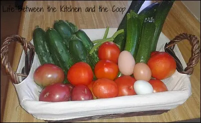 Emergency Preparedness, Fresh Eggs, Garden Vegetables