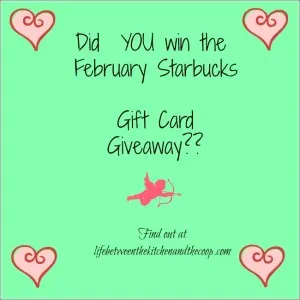 Gift Card, Giveaway, Free, Freebie