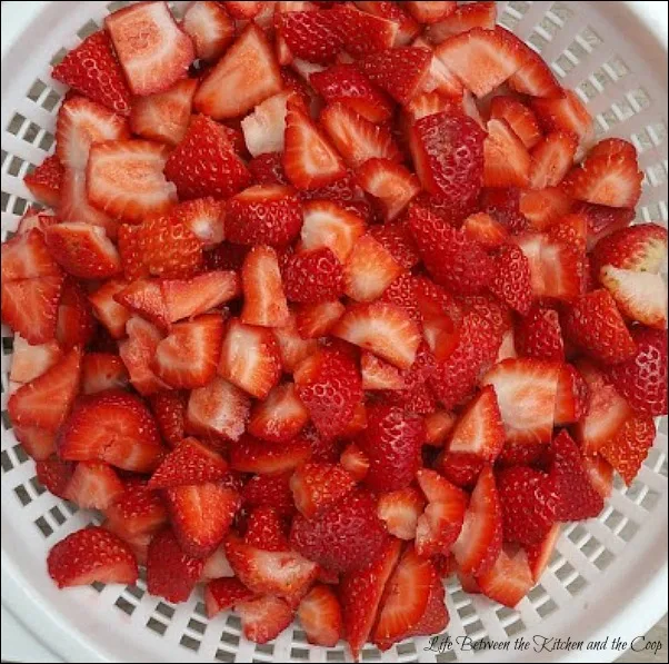 fruit salad, strawberries