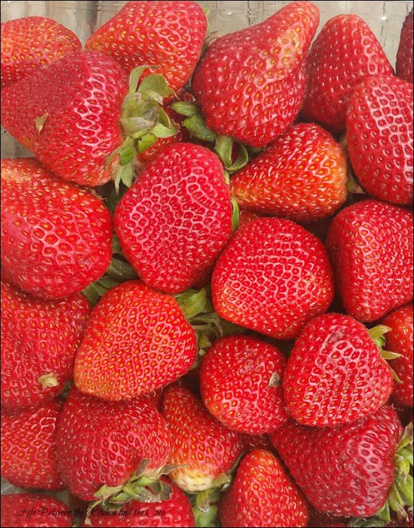 fruit salad, strawberries