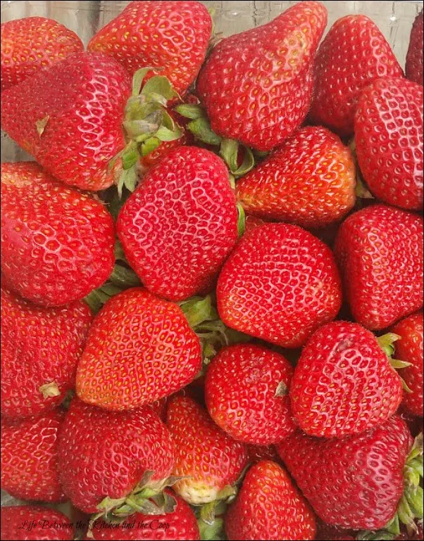 fruit salad, strawberries
