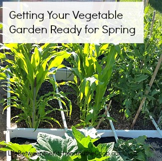 Vegetable Garden