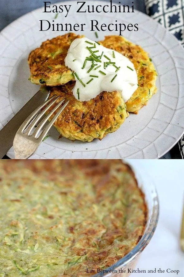 easy zucchini dinner recipes