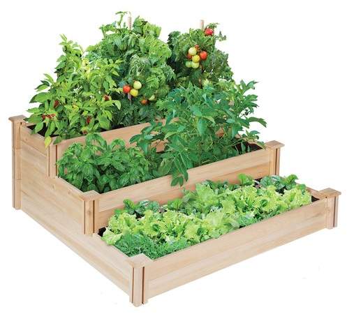 how to plant a garden
