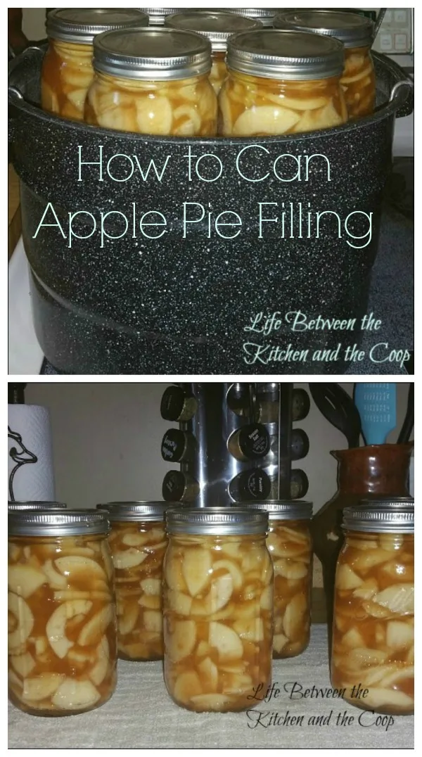 how to can apple pie filling, mrs. wages, pies, canning, food storage, baking