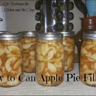 pies, baking, canning, food storage