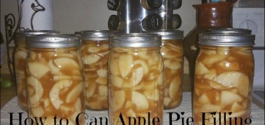 pies, baking, canning, food storage