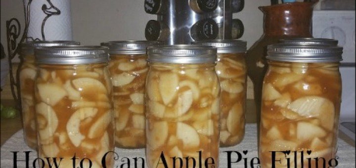 pies, baking, canning, food storage