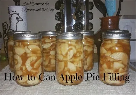 pies, baking, canning, food storage