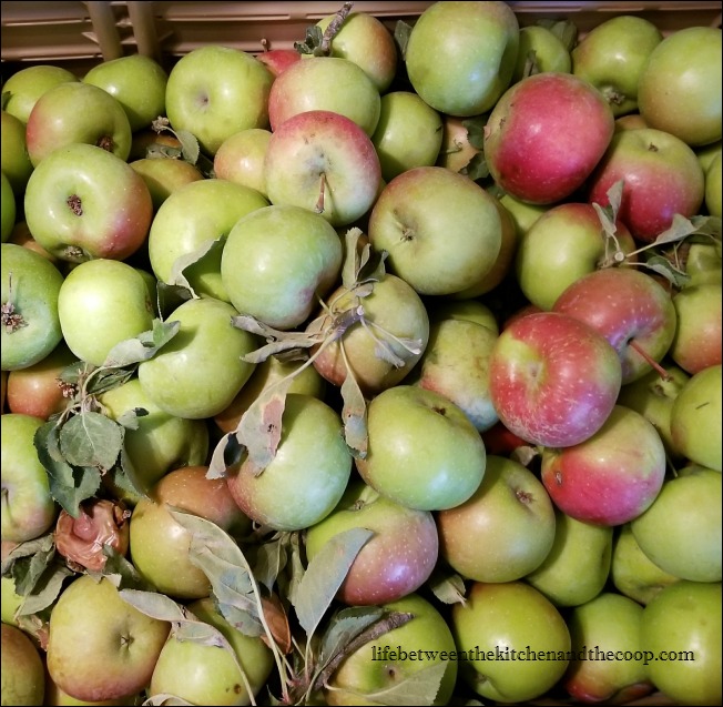 cinnamon applesauce